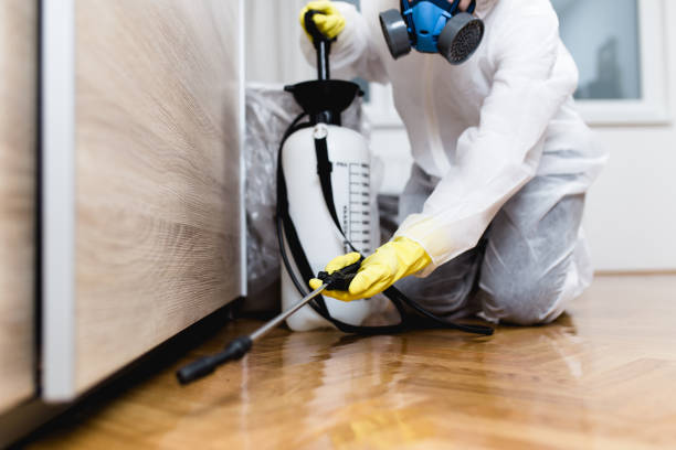 Best Emergency Pest Control  in Hawthorne, NJ
