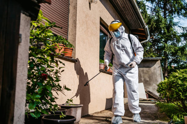 Best Local Pest Control Services  in Hawthorne, NJ