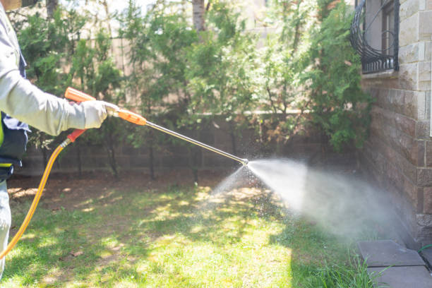 Best Affordable Pest Control Services  in Hawthorne, NJ