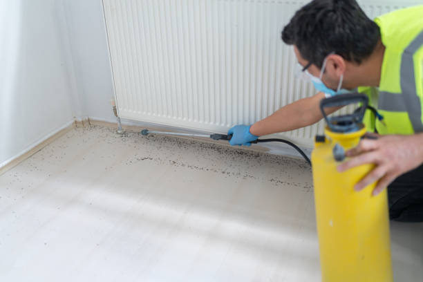 Professional Pest Control in Hawthorne, NJ
